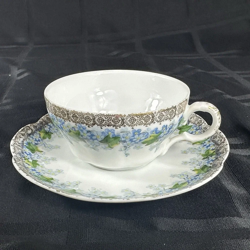 Forget-Me-Not Tea cup Saucer Translucent Fine Porcelain Gold Filigree Ivy ANTQ